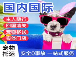 南洋机场托运国际宠物托运 【国